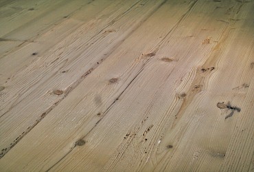 Spruce wood waste three-layer board